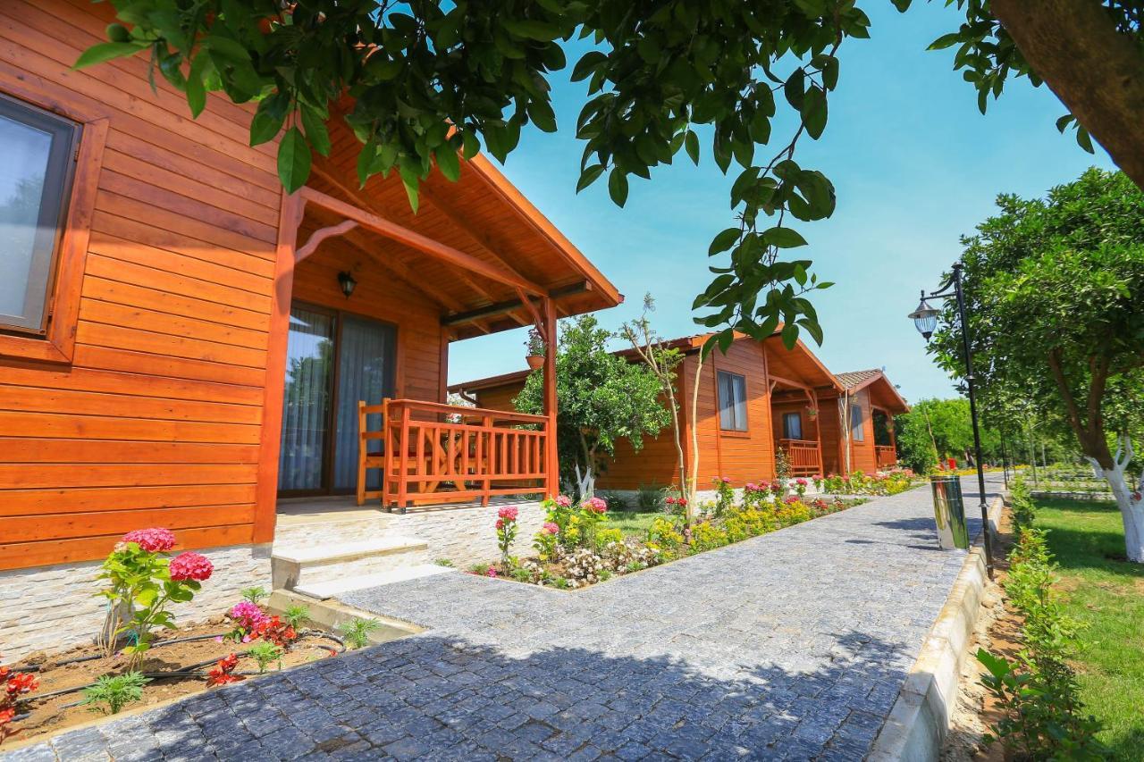 Merry Bungalow & Tent Cirali Exterior photo